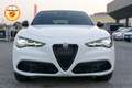 Alfa Romeo Stelvio 2.0 280cv t Veloce Q4 Pack Harman & Kardon TETTO Blanc - thumbnail 2