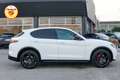 Alfa Romeo Stelvio 2.0 280cv t Veloce Q4 Pack Harman & Kardon TETTO Weiß - thumbnail 6