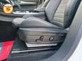 Alfa Romeo Stelvio 2.0 280cv t Veloce Q4 Pack Harman & Kardon TETTO Blanc - thumbnail 21