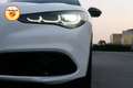 Alfa Romeo Stelvio 2.0 280cv t Veloce Q4 Pack Harman & Kardon TETTO Blanc - thumbnail 7