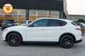 Alfa Romeo Stelvio 2.0 280cv t Veloce Q4 Pack Harman & Kardon TETTO Blanc - thumbnail 19