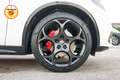Alfa Romeo Stelvio 2.0 280cv t Veloce Q4 Pack Harman & Kardon TETTO Blanc - thumbnail 6