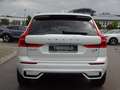 Volvo XC60 B4 R Design ACC HUD 360° Pano Google 21" Weiß - thumbnail 6