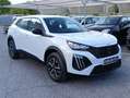 Peugeot 2008 Autocarro Style 100Cv N1 S&S Bianco - thumbnail 3