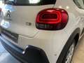 Citroen C3 1.6 BlueHDi 100 VAN FEEL (+IVA) 2 POSTI Blanco - thumbnail 23