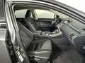 Lexus NX 300h AWD Sport Edition / Navigatie / Camera / NL auto / Grijs - thumbnail 5