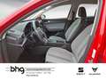 SEAT Leon 1.0 eTSI DSG Style LED Navi connect Winterp Rot - thumbnail 8