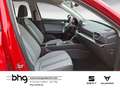SEAT Leon 1.0 eTSI DSG Style LED Navi connect Winterp Rot - thumbnail 9