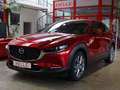 Mazda CX-30 Selection 2WD*360°+HUD+LED+ACC+DAB Rouge - thumbnail 1