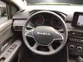 Dacia Sandero Stepway  Extreme+  TCe 100 ECO-G Grau - thumbnail 10