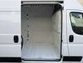 Fiat Ducato Fg. 35 2.2Mjt L3 H3 Panelado 140CV Blanco - thumbnail 16
