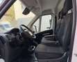 Fiat Ducato Fg. 35 2.2Mjt L3 H3 Panelado 140CV Blanco - thumbnail 7