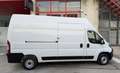 Fiat Ducato Fg. 35 2.2Mjt L3 H3 Panelado 140CV Blanco - thumbnail 12