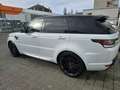 Land Rover Range Rover Sport Range Rover Sport Diesel D300 (SDV6) HSE Dynamic Weiß - thumbnail 4