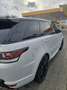 Land Rover Range Rover Sport Range Rover Sport Diesel D300 (SDV6) HSE Dynamic Weiß - thumbnail 5
