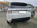 Land Rover Range Rover Sport Range Rover Sport Diesel D300 (SDV6) HSE Dynamic Weiß - thumbnail 3
