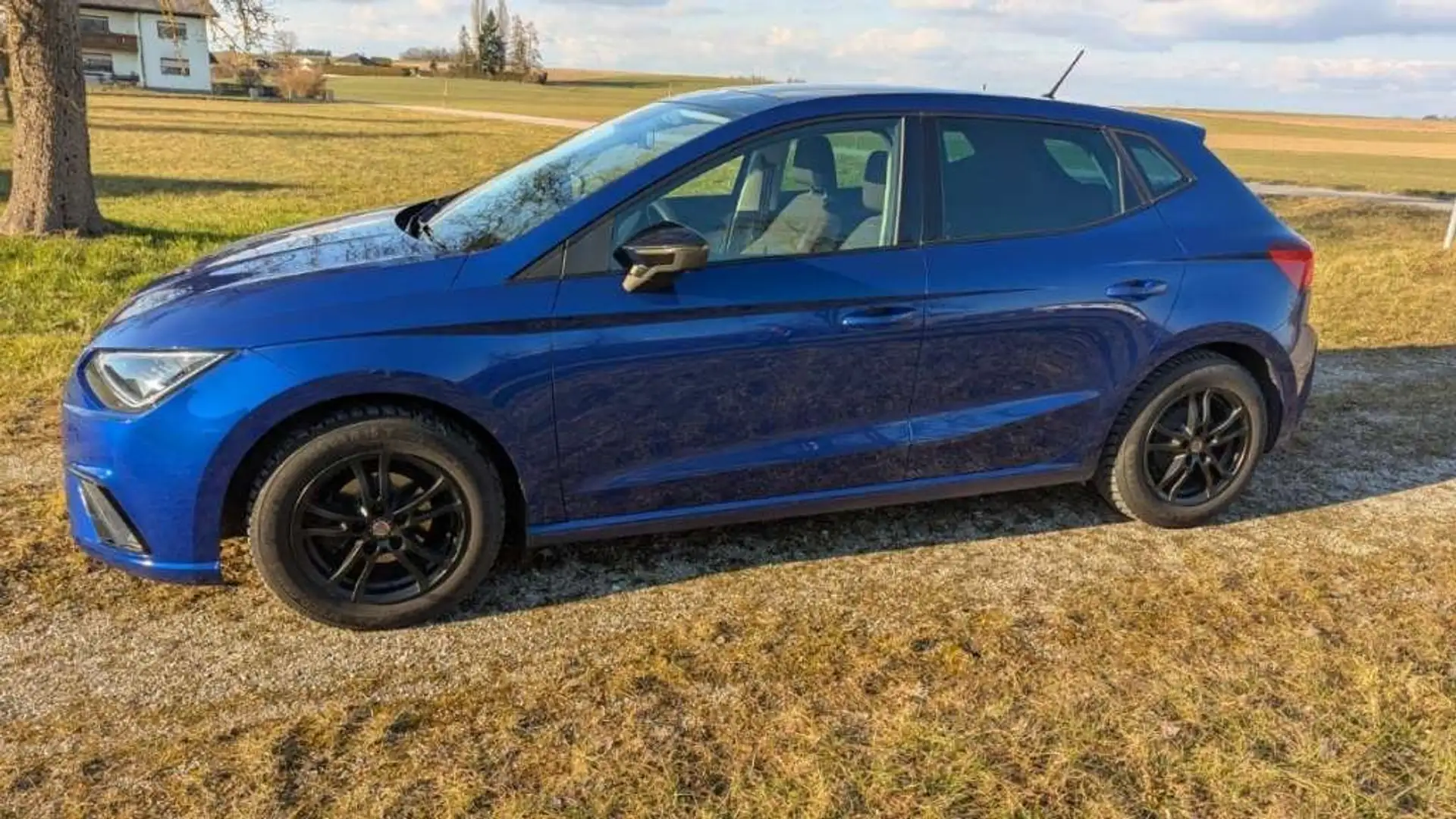 SEAT Ibiza Ibiza 1,0 ECO TSI FR FR Blau - 1