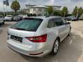 Skoda Superb 4x4 Ambition TDI DSG Silber - thumbnail 9