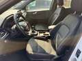 Ford Kuga 2.0 EcoBlue Hybrid 150 CV 2WD ST-Line Bianco - thumbnail 7