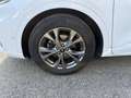 Ford Kuga 2.0 EcoBlue Hybrid 150 CV 2WD ST-Line Bianco - thumbnail 5