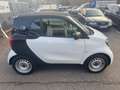 smart forTwo electric drive coupe EQ *TOP-ZUSTAND!!*HU NEU Blanc - thumbnail 6