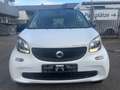 smart forTwo electric drive coupe EQ *TOP-ZUSTAND!!*HU NEU Blanc - thumbnail 8
