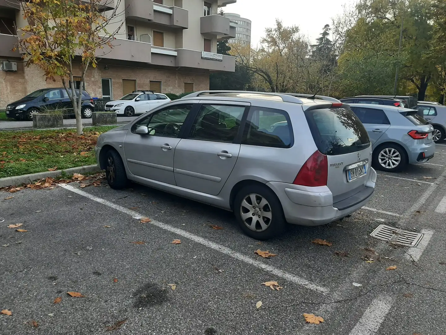 Peugeot 307 307 SW 1.6 16v Argento - 2