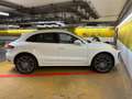 Porsche Macan ***approved*** Weiß - thumbnail 18