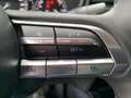 Mazda CX-30 G122 AWD Comfort+ Aut. Grau - thumbnail 17