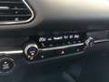 Mazda CX-30 X186 AT AWD EXCLUSIVE L. RED WEEK Grau - thumbnail 17