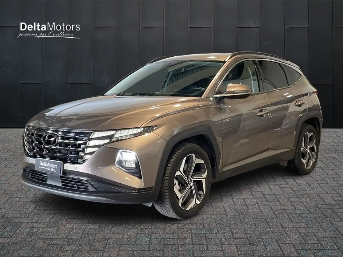 Hyundai TUCSON 1.6 HEV Exellence Leather Pack Bronze - 1