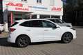 Ford Kuga 2.0d ST-LINE NAV CAM ALU 18 ZOLL Weiß - thumbnail 11