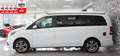 Mercedes-Benz V 250 d MARCO POLO HORIZON*LANG*4MATIC*MBUX*AHK* Alb - thumbnail 5