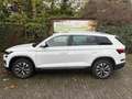 Skoda Kodiaq Kodiaq Diesel 2.0 TDI 4x4 DSG Style / Standheizung Weiß - thumbnail 1
