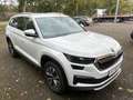 Skoda Kodiaq Kodiaq Diesel 2.0 TDI 4x4 DSG Style / Standheizung Weiß - thumbnail 6