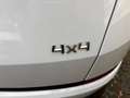 Skoda Kodiaq Kodiaq Diesel 2.0 TDI 4x4 DSG Style / Standheizung Weiß - thumbnail 9