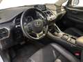 Lexus NX 300h - NX 300h 2.5 Sport 4wd cvt Blanc - thumbnail 31