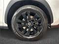 Lexus NX 300h - NX 300h 2.5 Sport 4wd cvt Blanc - thumbnail 24