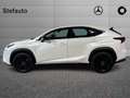 Lexus NX 300h - NX 300h 2.5 Sport 4wd cvt Blanc - thumbnail 8