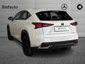 Lexus NX 300h - NX 300h 2.5 Sport 4wd cvt Blanc - thumbnail 14