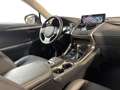 Lexus NX 300h - NX 300h 2.5 Sport 4wd cvt Blanc - thumbnail 45