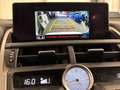 Lexus NX 300h - NX 300h 2.5 Sport 4wd cvt Blanc - thumbnail 50