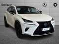 Lexus NX 300h - NX 300h 2.5 Sport 4wd cvt Blanc - thumbnail 3