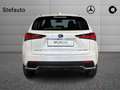 Lexus NX 300h - NX 300h 2.5 Sport 4wd cvt Blanc - thumbnail 18