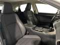 Lexus NX 300h - NX 300h 2.5 Sport 4wd cvt Blanc - thumbnail 47