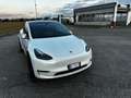 Tesla Model Y Performance Dual Motor awd Bianco - thumbnail 2