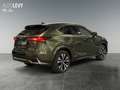 Lexus NX 300 h Style Edition *8FACH*CARPLAY* Grün - thumbnail 6