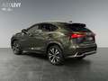 Lexus NX 300 h Style Edition *8FACH*CARPLAY* Grün - thumbnail 4