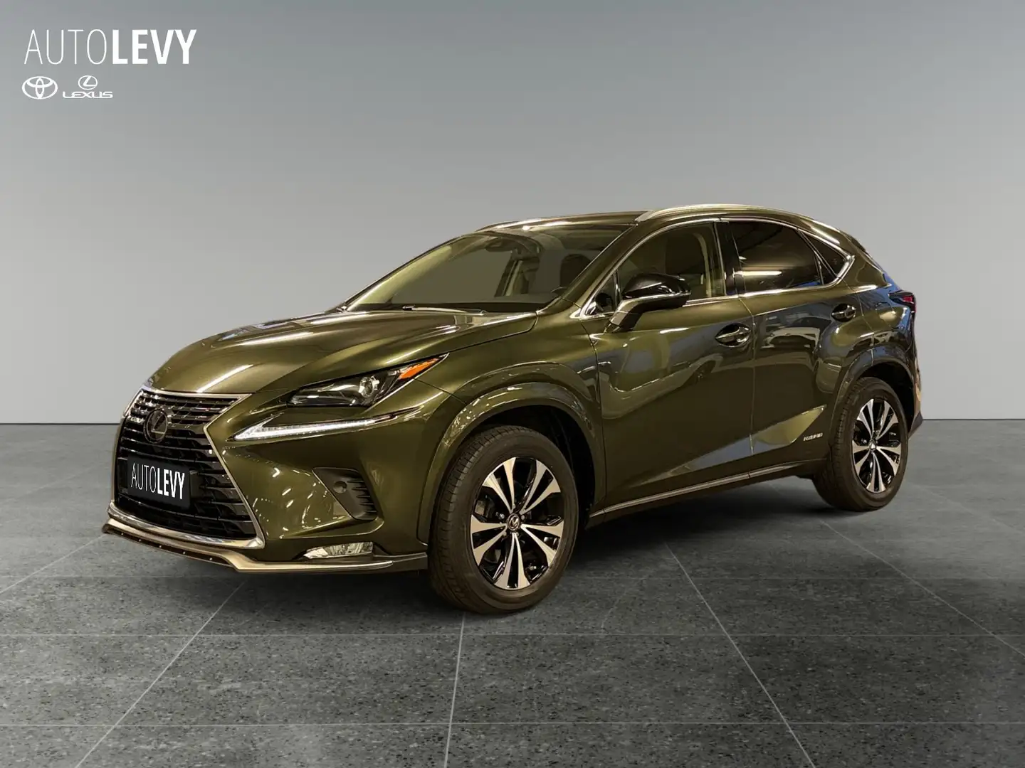Lexus NX 300 h Style Edition *8FACH*CARPLAY* Grün - 2