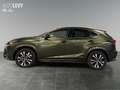 Lexus NX 300 h Style Edition *8FACH*CARPLAY* Vert - thumbnail 3
